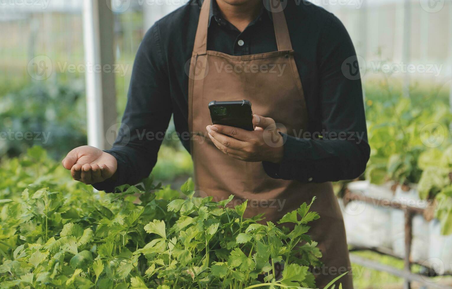In the Industrial Greenhouse Two Agricultural Engineers Test Plants Health and Analyze Data with Tablet Computer. photo