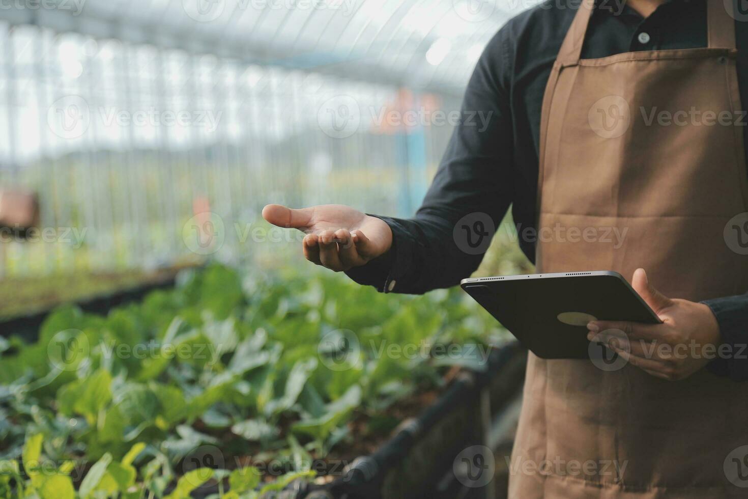 In the Industrial Greenhouse Two Agricultural Engineers Test Plants Health and Analyze Data with Tablet Computer. photo
