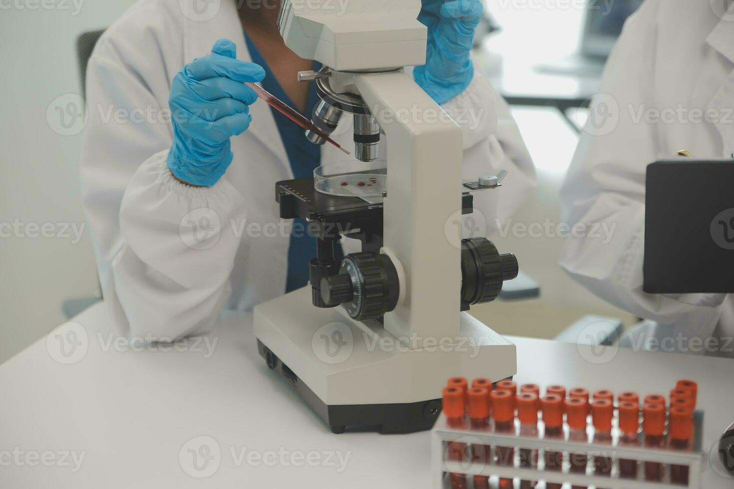 Health care researchers working in life science laboratory. Young female research scientist and senior male supervisor preparing and analyzing microscope slides in research lab. photo
