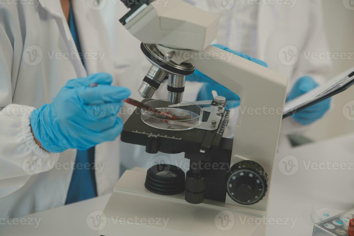 Health care researchers working in life science laboratory. Young female research scientist and senior male supervisor preparing and analyzing microscope slides in research lab. photo