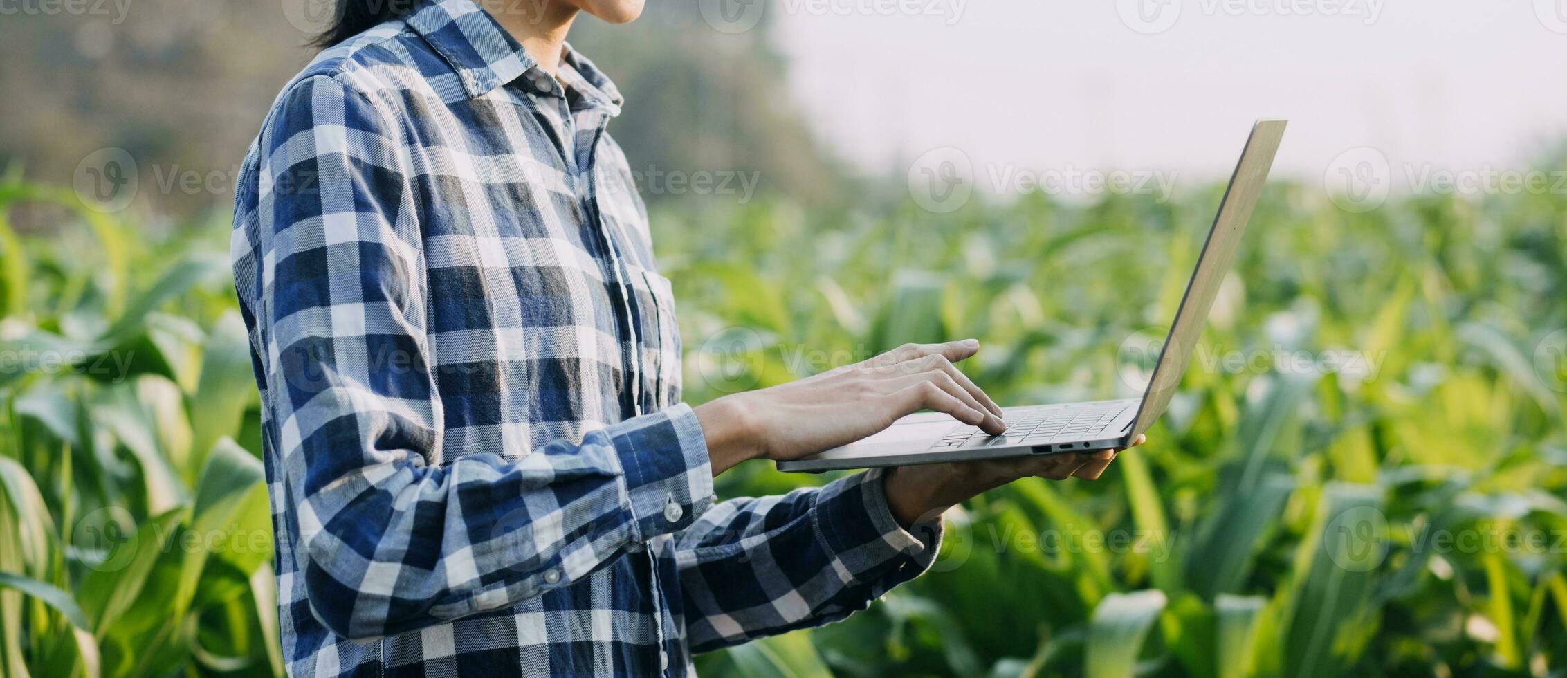 Agriculturist utilize the core data network in the Internet from the mobile to validate, test, and select the new crop method. Young farmers and tobacco farming photo