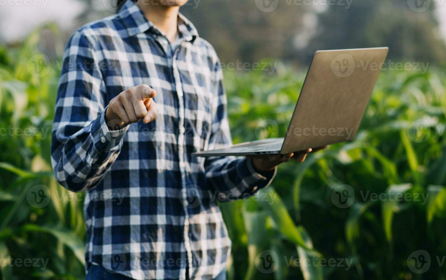 Agriculturist utilize the core data network in the Internet from the mobile to validate, test, and select the new crop method. Young farmers and tobacco farming photo