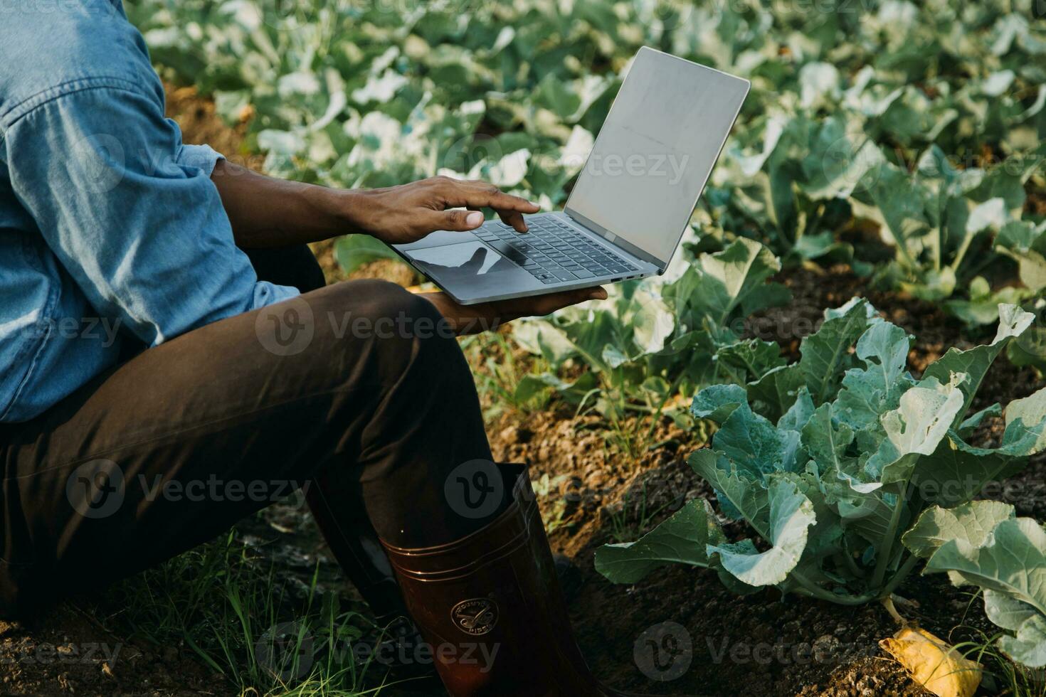 Agriculturist utilize the core data network in the Internet from the mobile to validate, test, and select the new crop method. Young farmers and tobacco farming photo