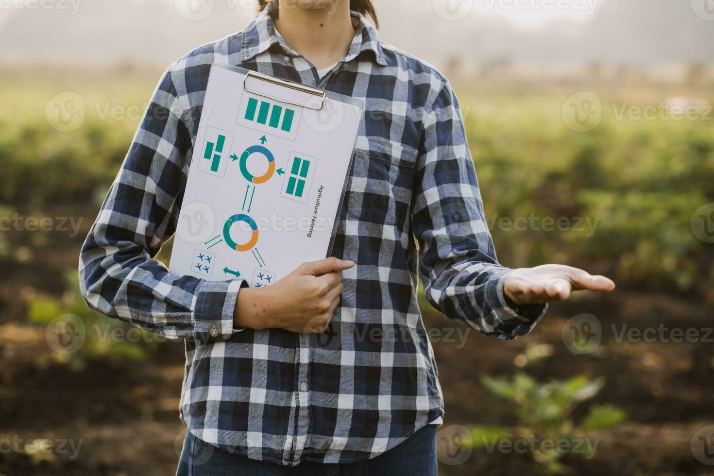 Agriculturist utilize the core data network in the Internet from the mobile to validate, test, and select the new crop method. Young farmers and tobacco farming photo