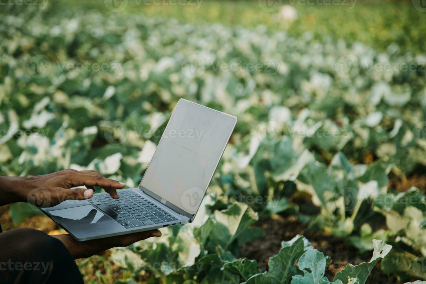 Agriculturist utilize the core data network in the Internet from the mobile to validate, test, and select the new crop method. Young farmers and tobacco farming photo