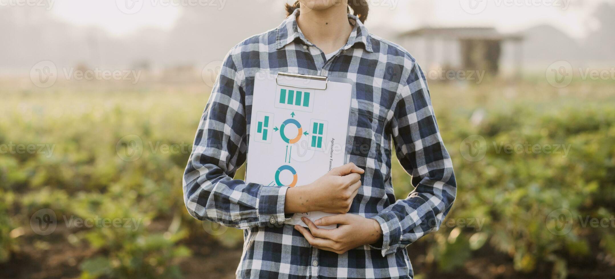 Agriculturist utilize the core data network in the Internet from the mobile to validate, test, and select the new crop method. Young farmers and tobacco farming photo