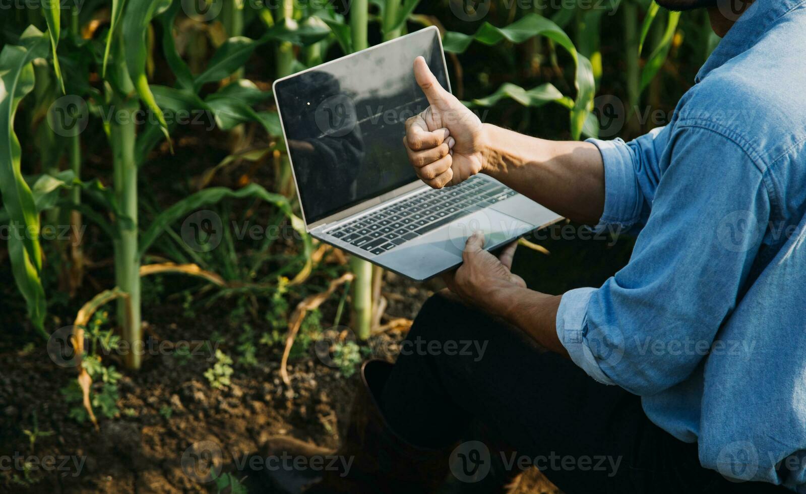 agricultor utilizar el núcleo datos red en el Internet desde el móvil a validar, prueba, y Seleccione el nuevo cosecha método. joven agricultores y tabaco agricultura foto