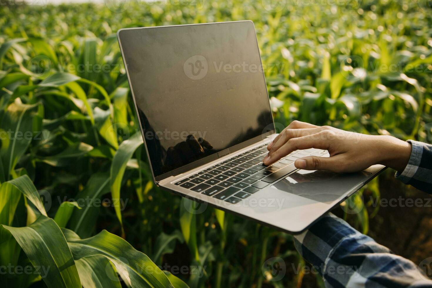 Agriculturist utilize the core data network in the Internet from the mobile to validate, test, and select the new crop method. Young farmers and tobacco farming photo