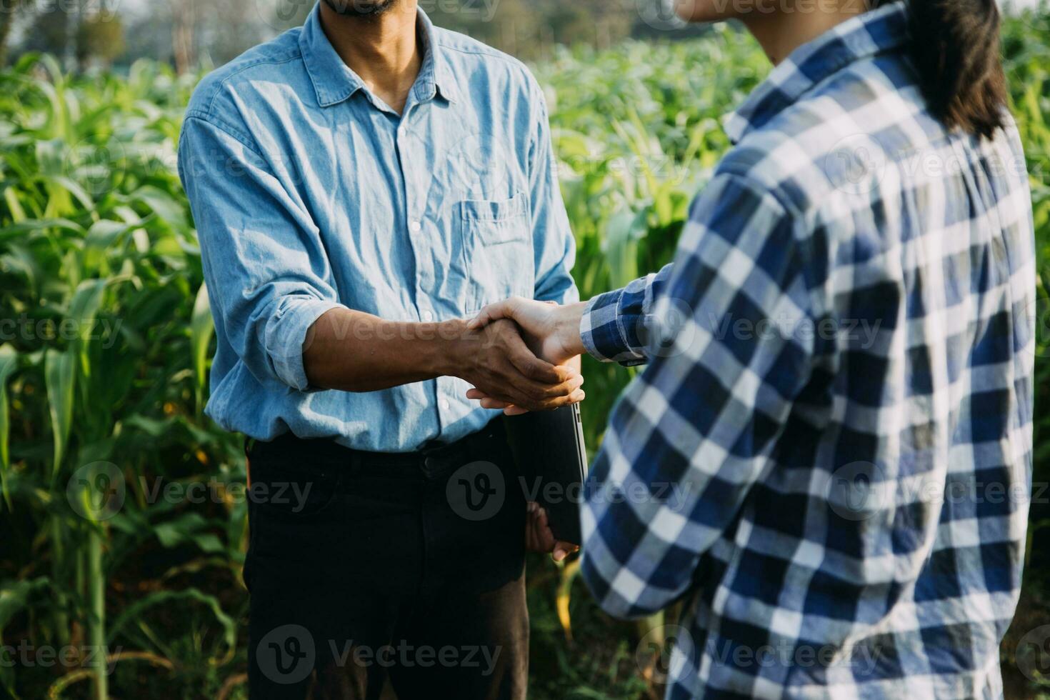 Agriculturist utilize the core data network in the Internet from the mobile to validate, test, and select the new crop method. Young farmers and tobacco farming photo