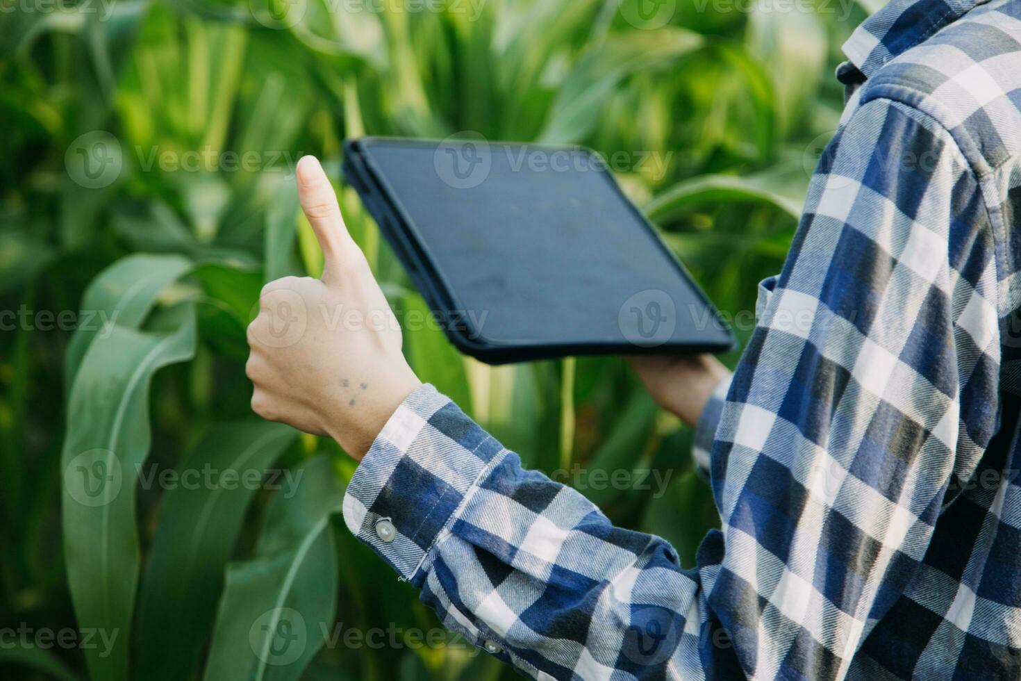 Agriculturist utilize the core data network in the Internet from the mobile to validate, test, and select the new crop method. Young farmers and tobacco farming photo