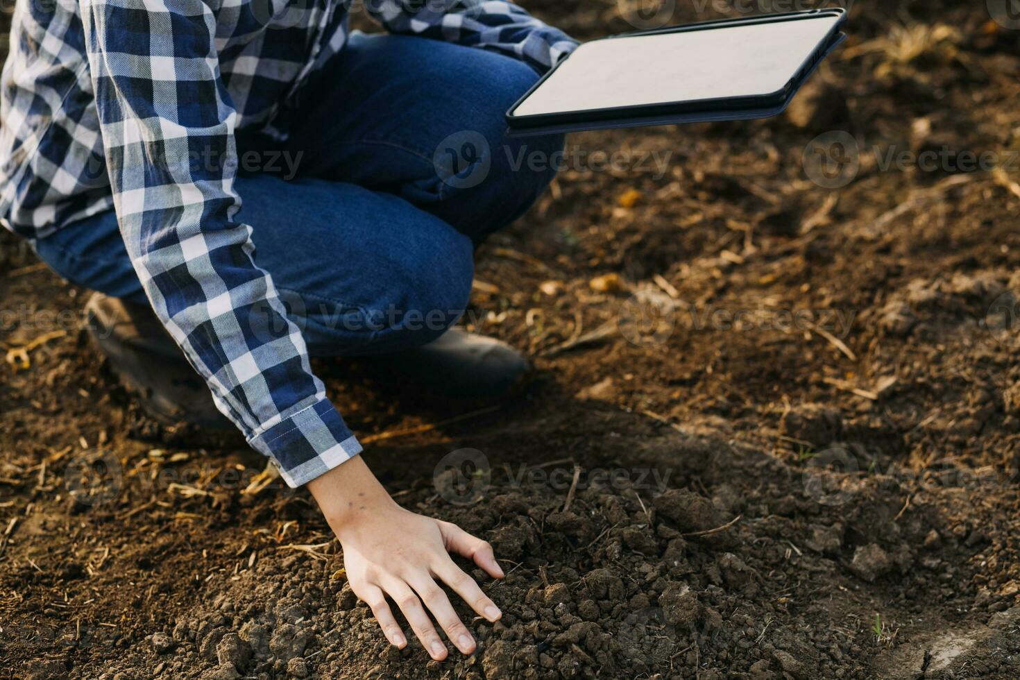 Male hands touching soil on the field. Expert hand of farmer checking soil health before growth a seed of vegetable or plant seedling. Business or ecology concept. photo