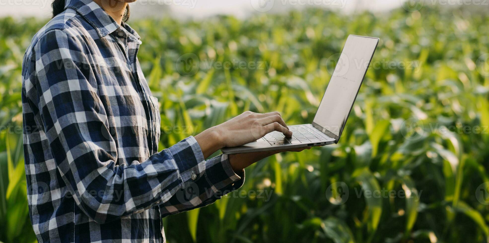 agricultor utilizar el núcleo datos red en el Internet desde el móvil a validar, prueba, y Seleccione el nuevo cosecha método. joven agricultores y tabaco agricultura foto