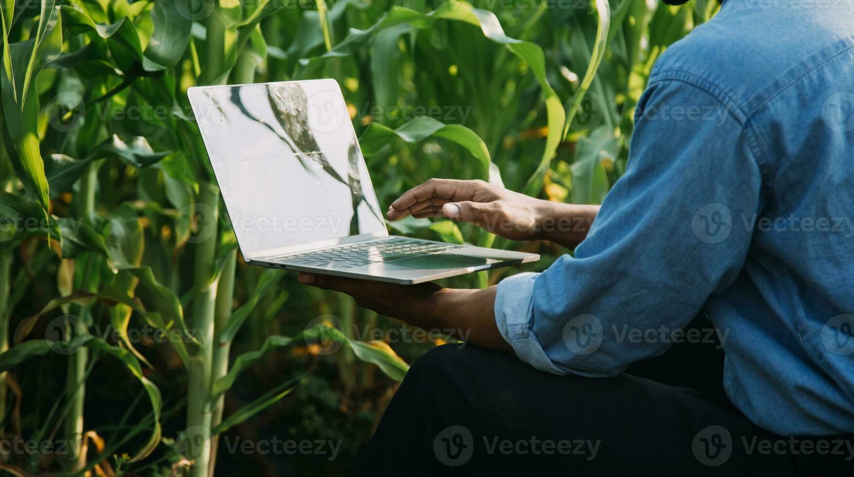 Agriculturist utilize the core data network in the Internet from the mobile to validate, test, and select the new crop method. Young farmers and tobacco farming photo