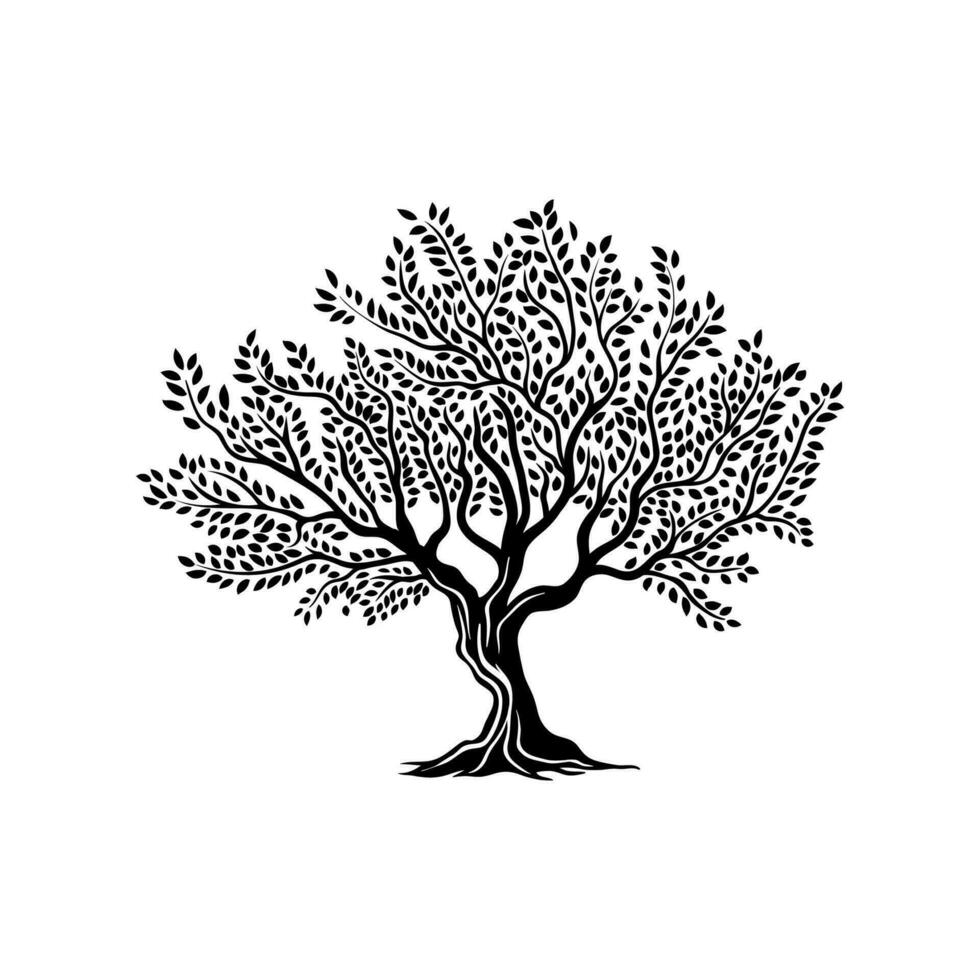 Olive tree isolated silhouette icon or symbol vector