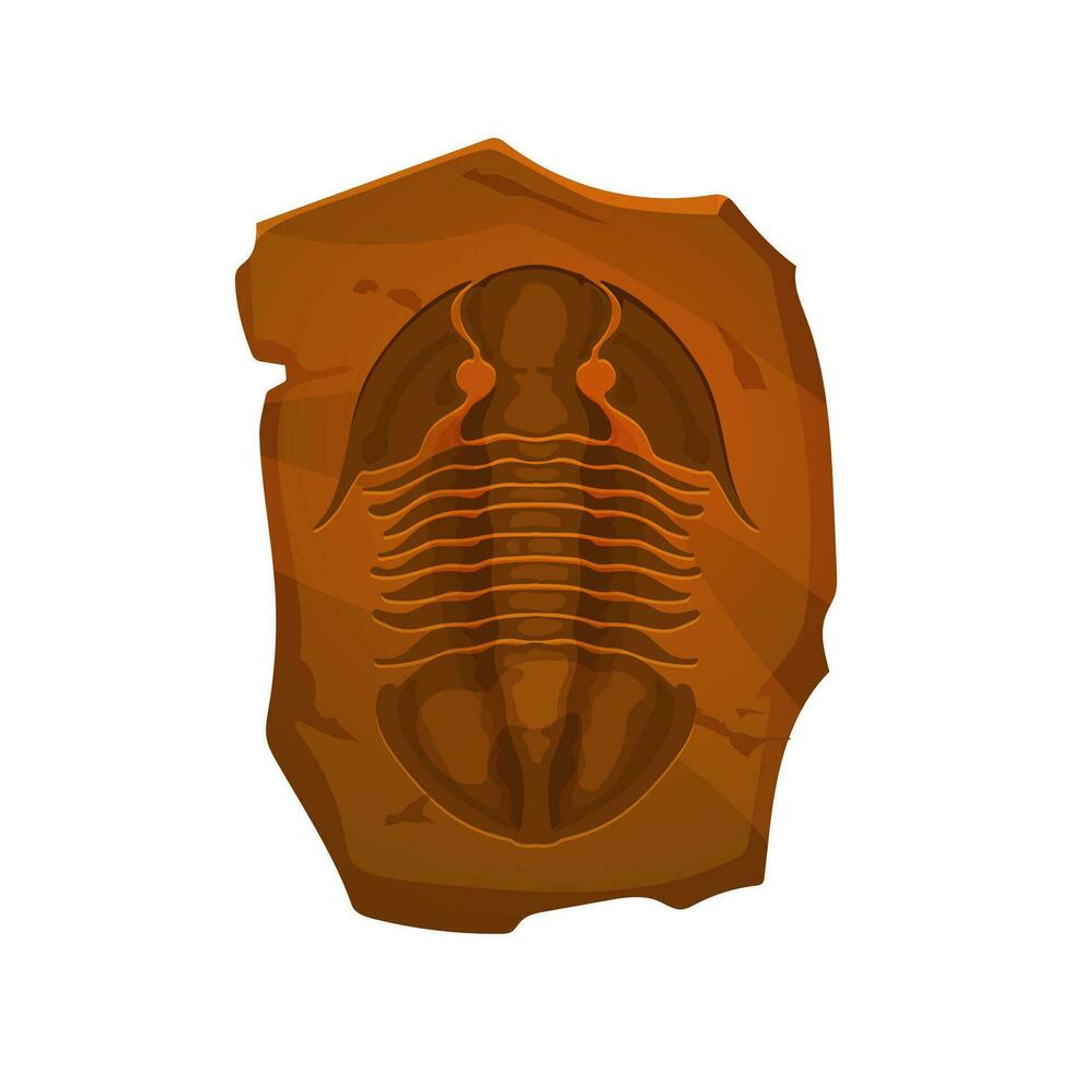 Ancient fossil, trilobite imprint in stone vector