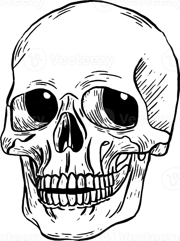 Creepy skull drawing Halloween decoration in black and white color, PNG file no background