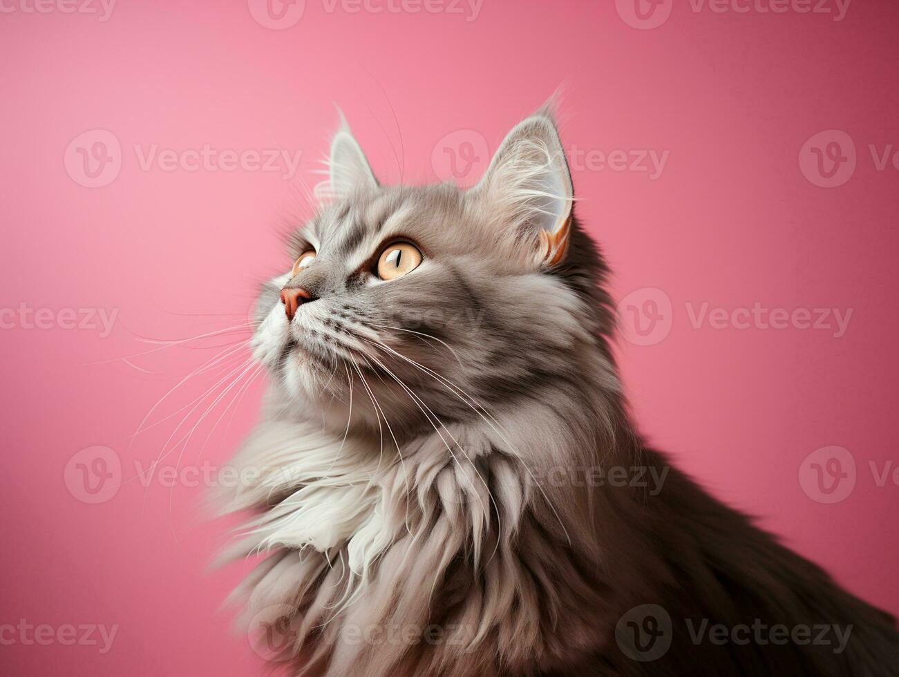 AI generated Cute cat photo