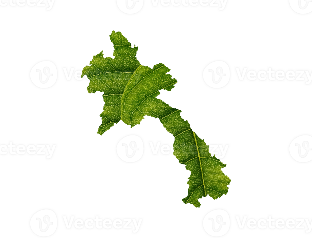 Laos map made of green leaves ecology concept png