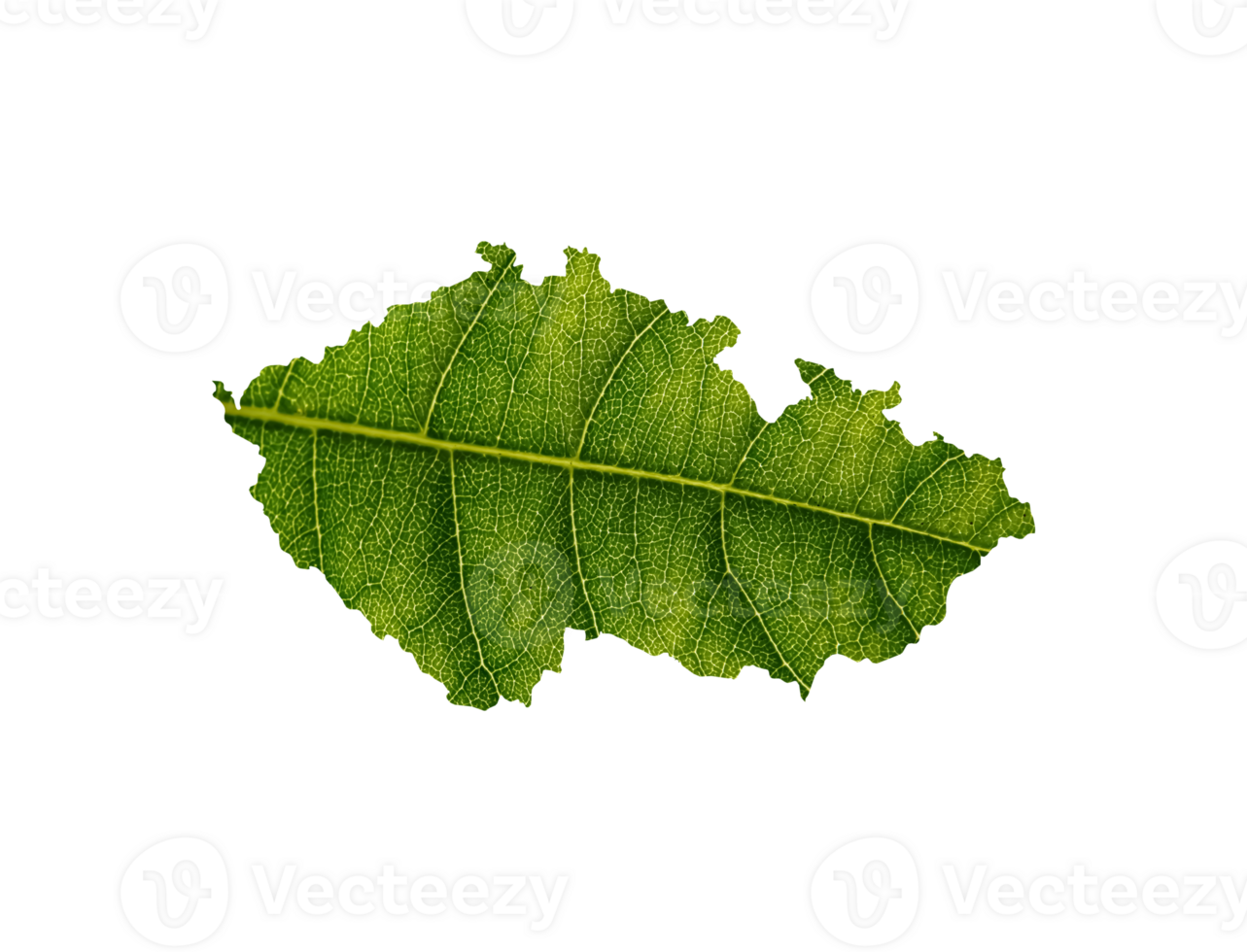 Czechia map made of green leaves ecology concept png