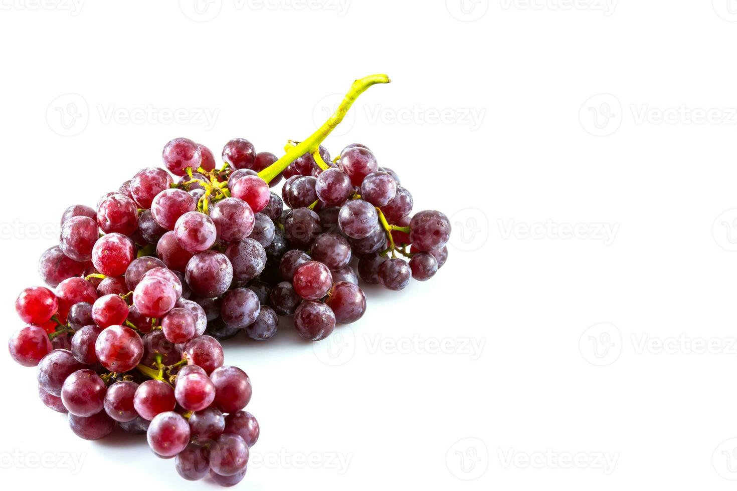 rojo uva en blanco antecedentes foto