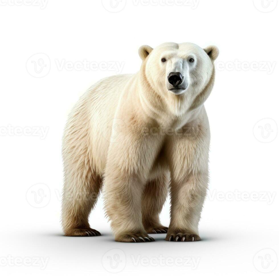 Polar bear isolated on white background. 3D illustration. Studio. AI Generative photo