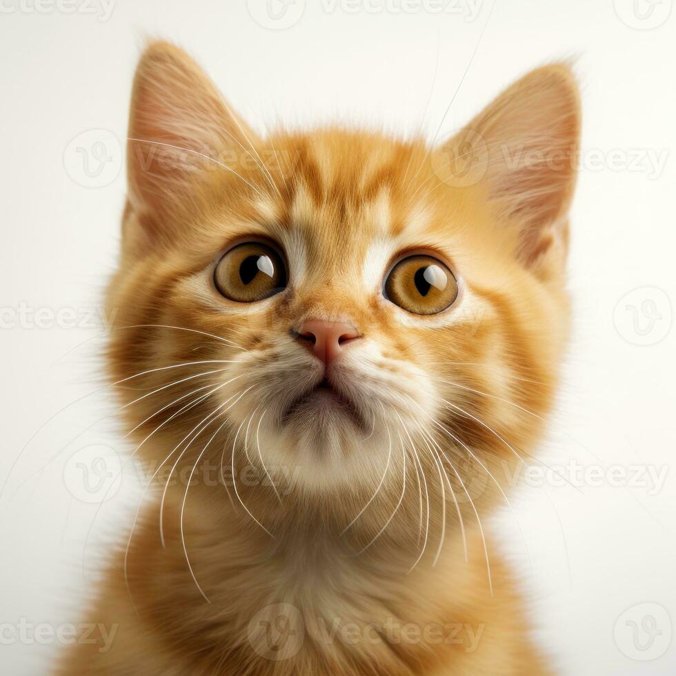 Close-up portrait of a beautiful ginger cat. Shallow depth of field. a red kitten on a white background. AI Generative photo