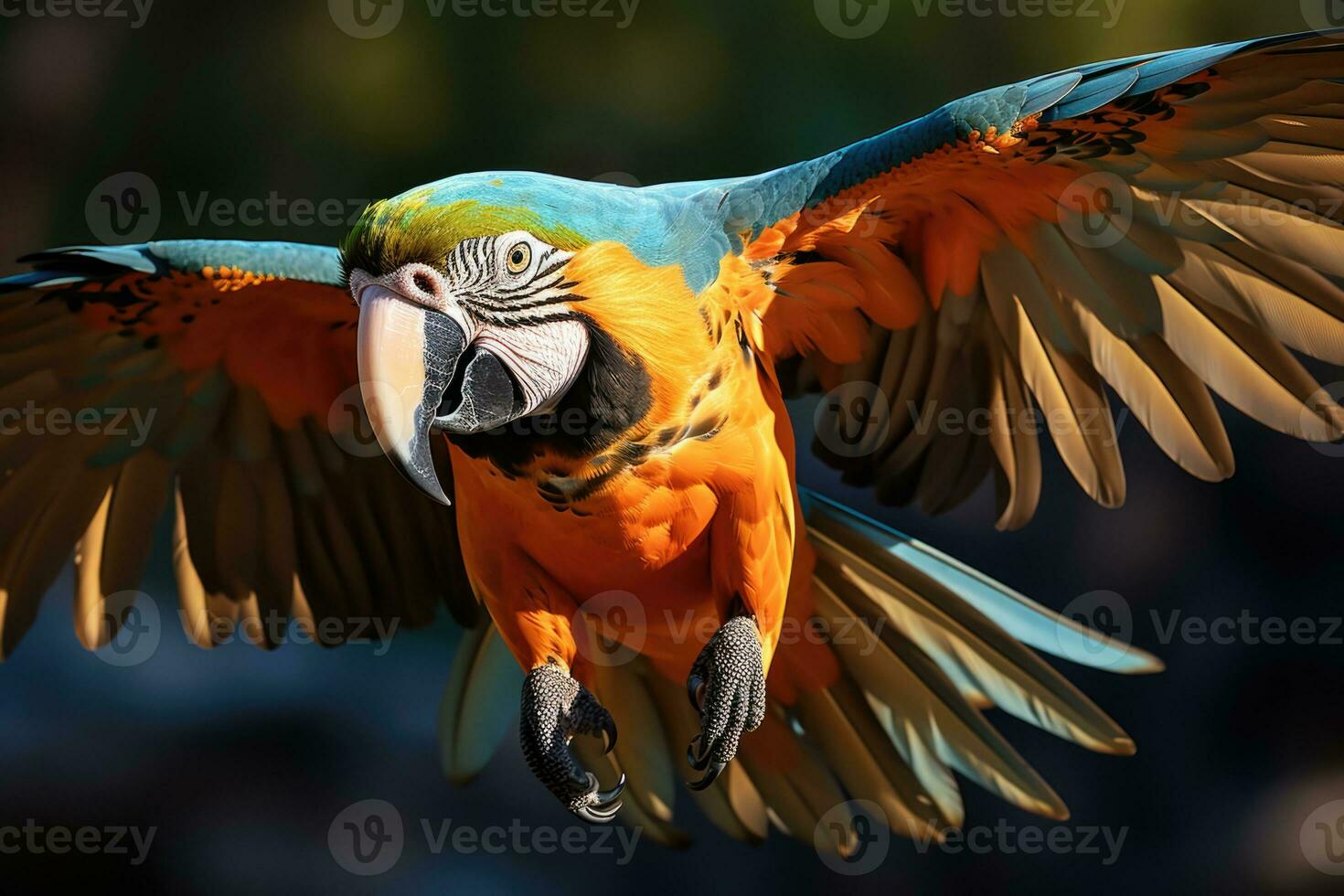 Beautiful Scarlet macaw parrot in the forest. close-up. AI Generative photo