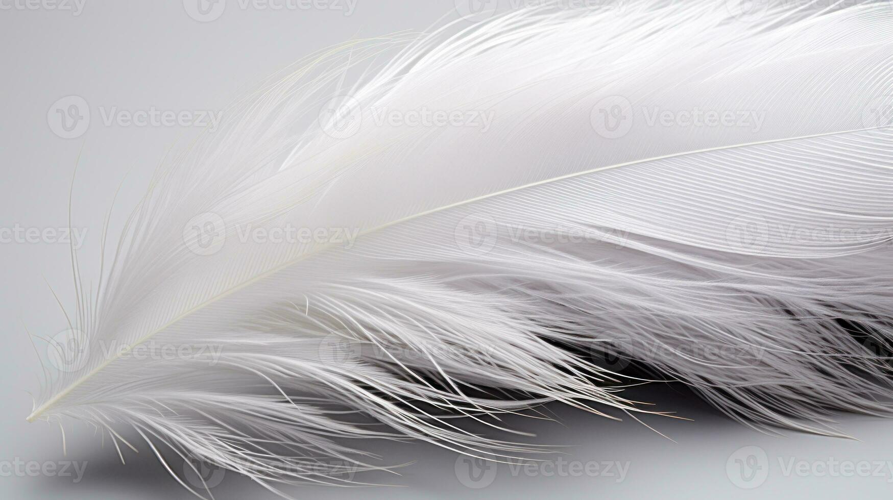feather of a white bird on a gray background close-up. AI Generative photo
