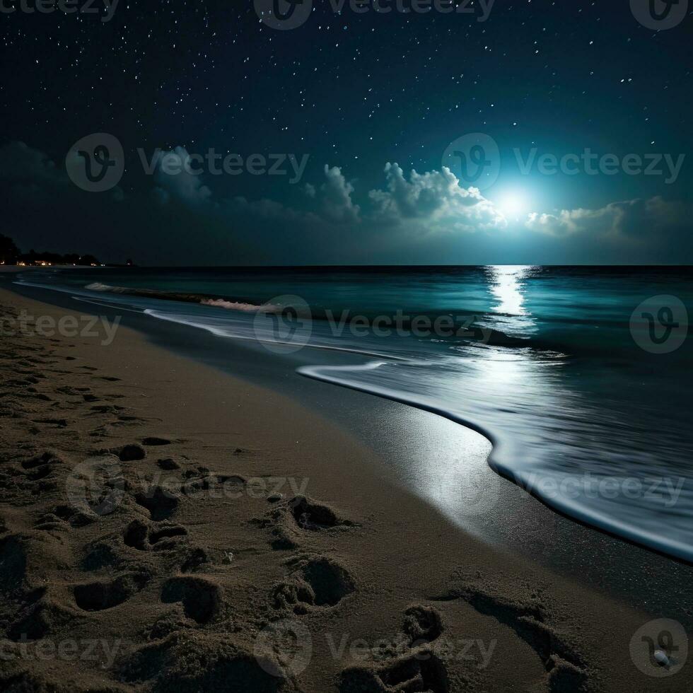 Beautiful night view, landscape with starry sky, sea and sand beach. Moonlight over the sea with palm trees on the beach at night. photo