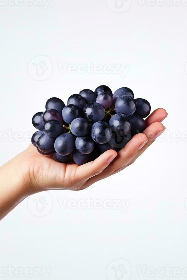 Hand holding dark blue grapes isolated on white background. ai generated photo