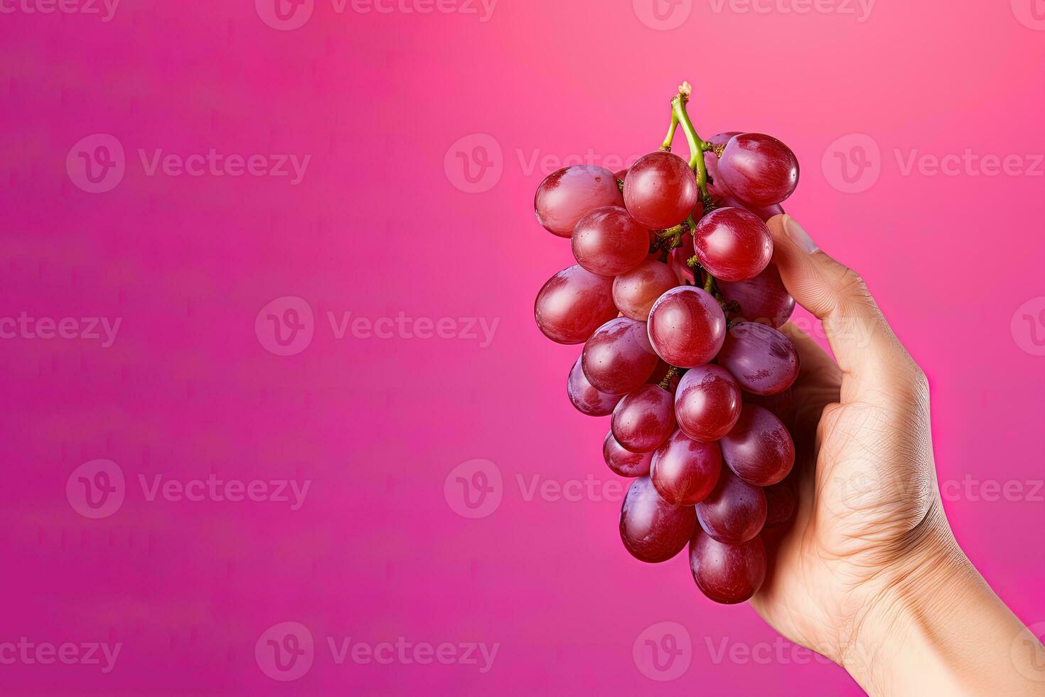 Hand holding a bunch of red grapes isolated on a red background with copy space. ai generated photo
