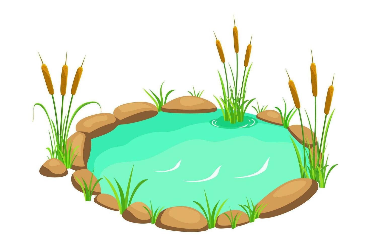 Lake with reeds and stones. Pond in cartoon style isolated on white