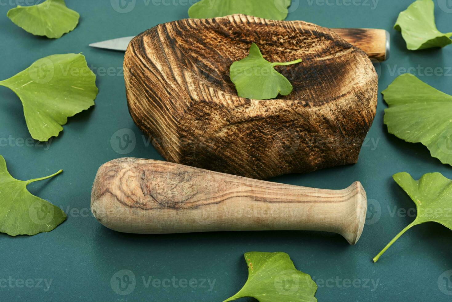 Ginkgo biloba leaves, medicines. photo