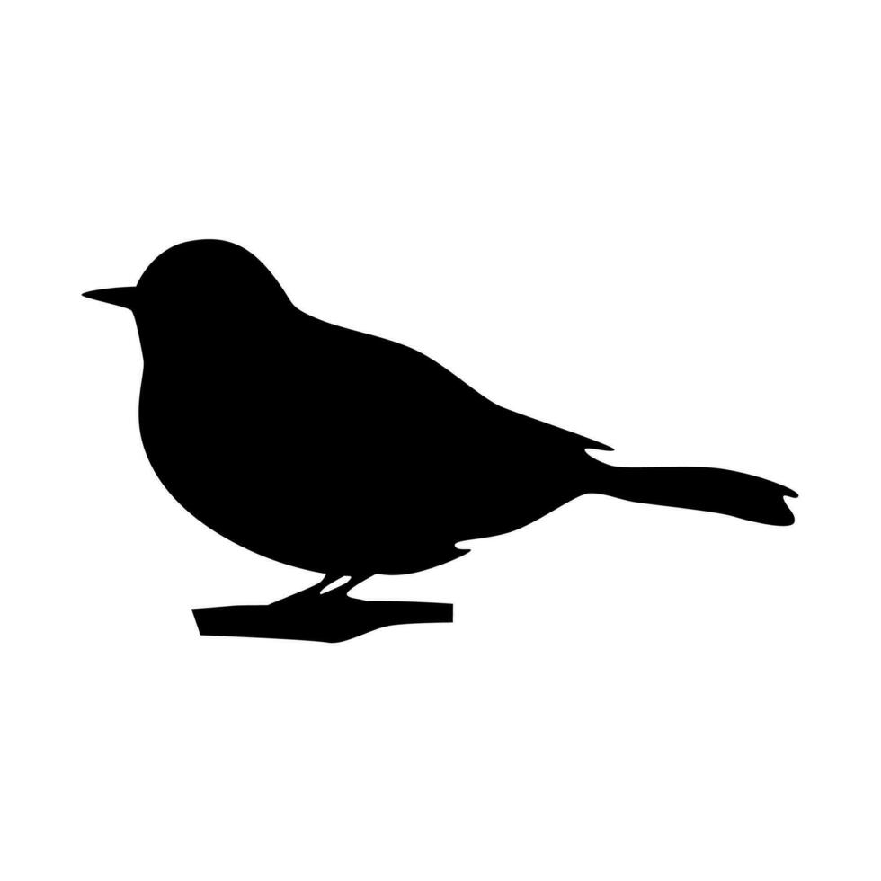 Bird silhouettes, bird flying and standing silhouettes detailed vector