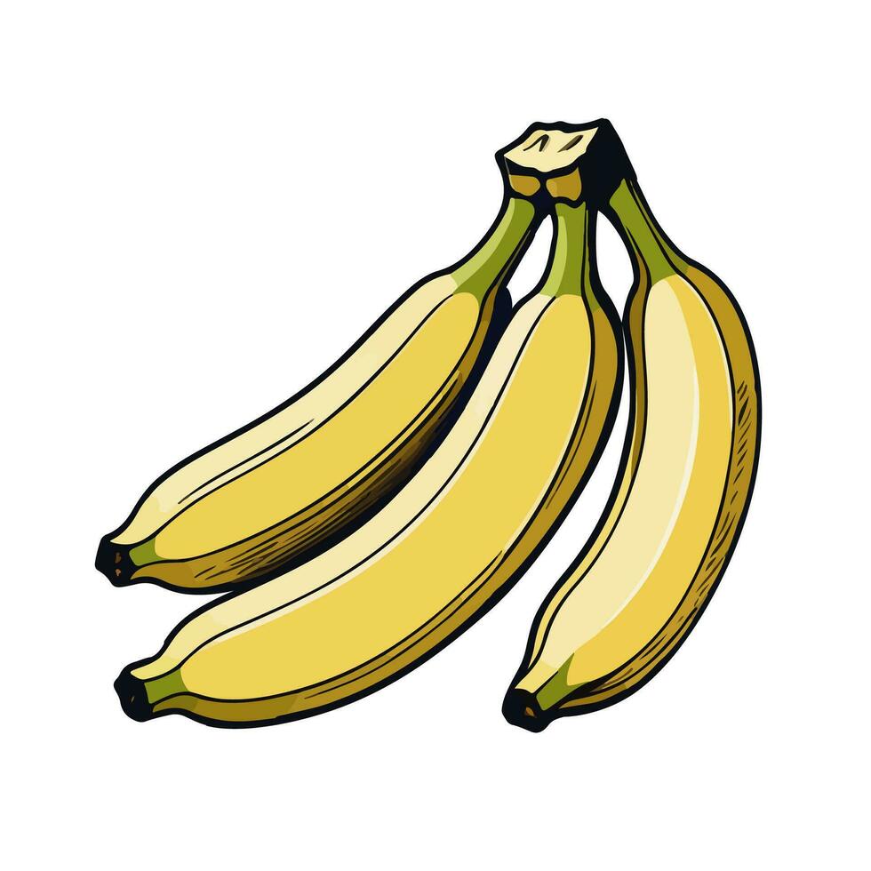 Banana isolated on white vector