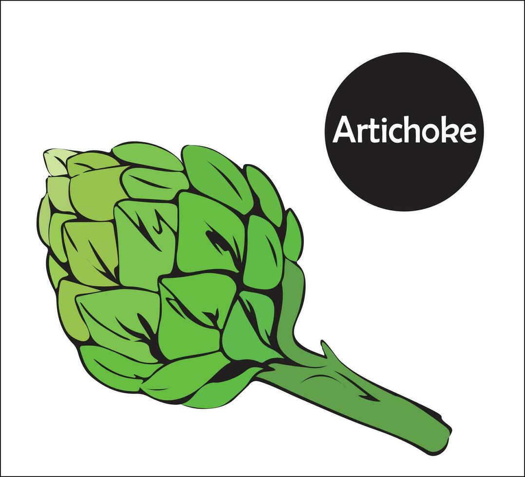 Closeup isolated ripe whole green artichoke bud. useful plant for a healthy diet. vector doodle illustration