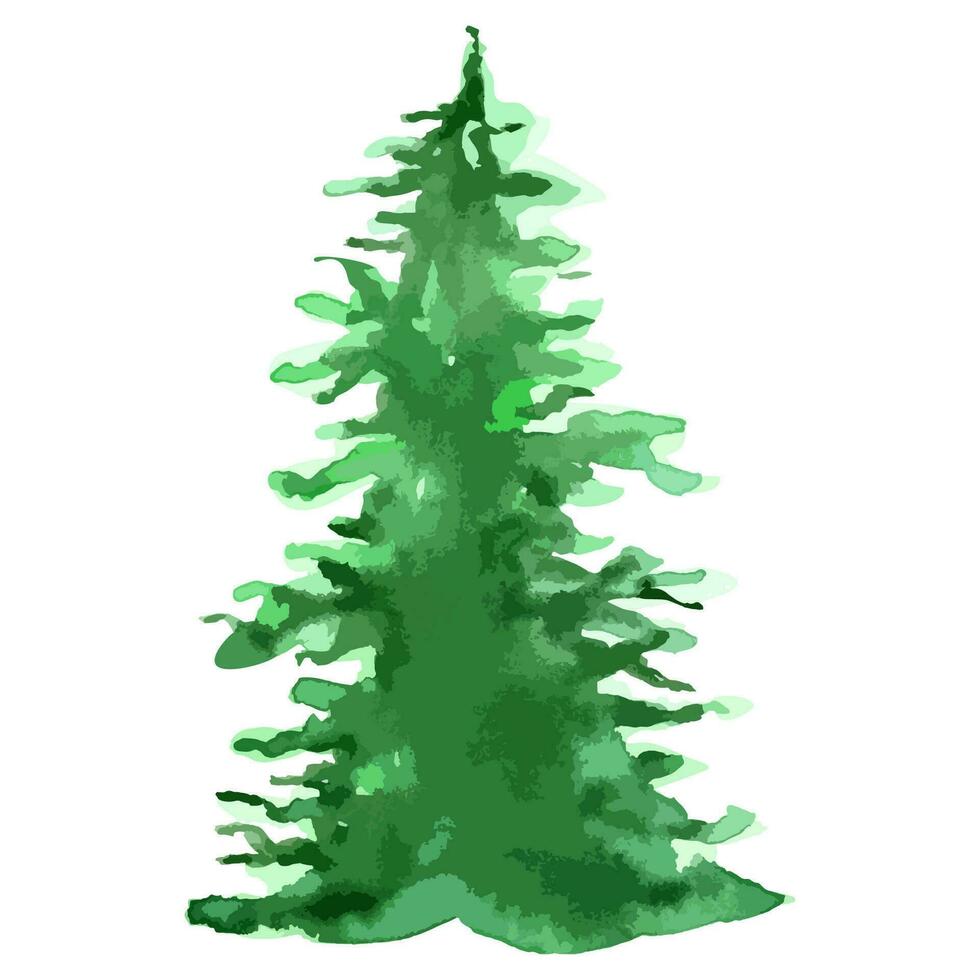 watercolor vector Christmas tree. Evergreen illustration. Isolated new year.