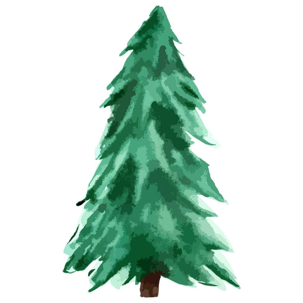 Christmas tree. Watercolor art. Vector evergreen tree illustration. Isolated new year.