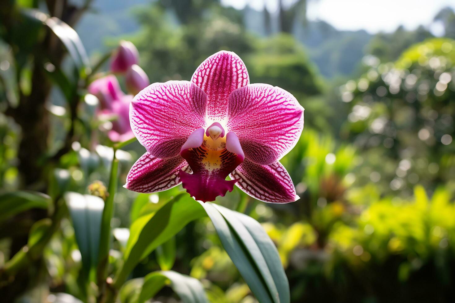 ai generativo foto de orquídea flor en un trascendente botánico jardín