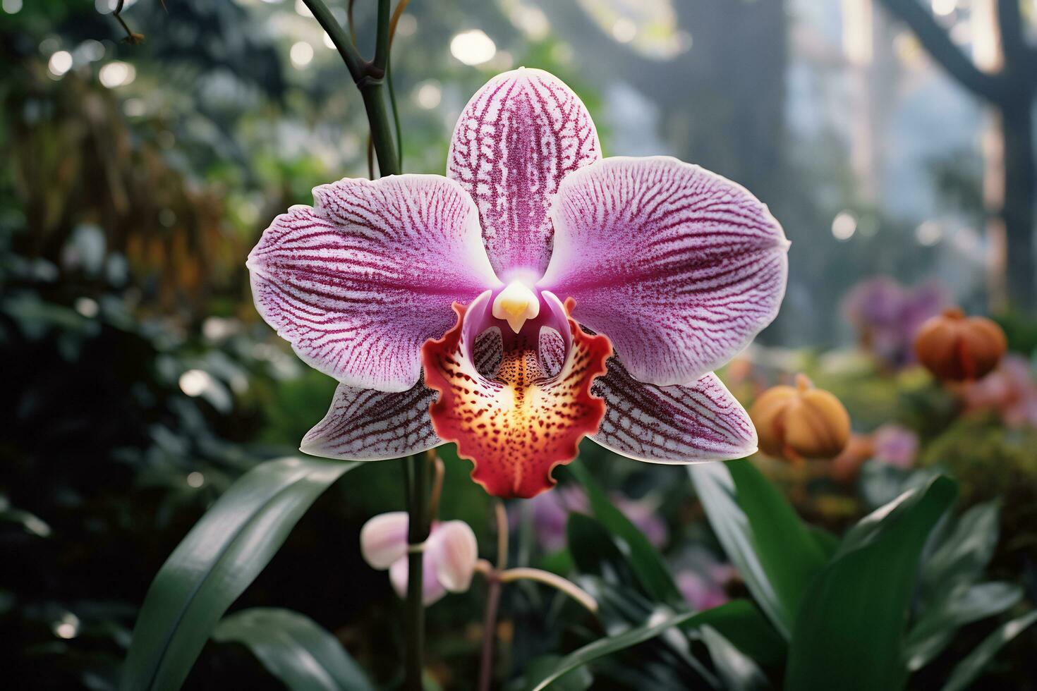 ai generativo foto de orquídea flor en un trascendente botánico jardín