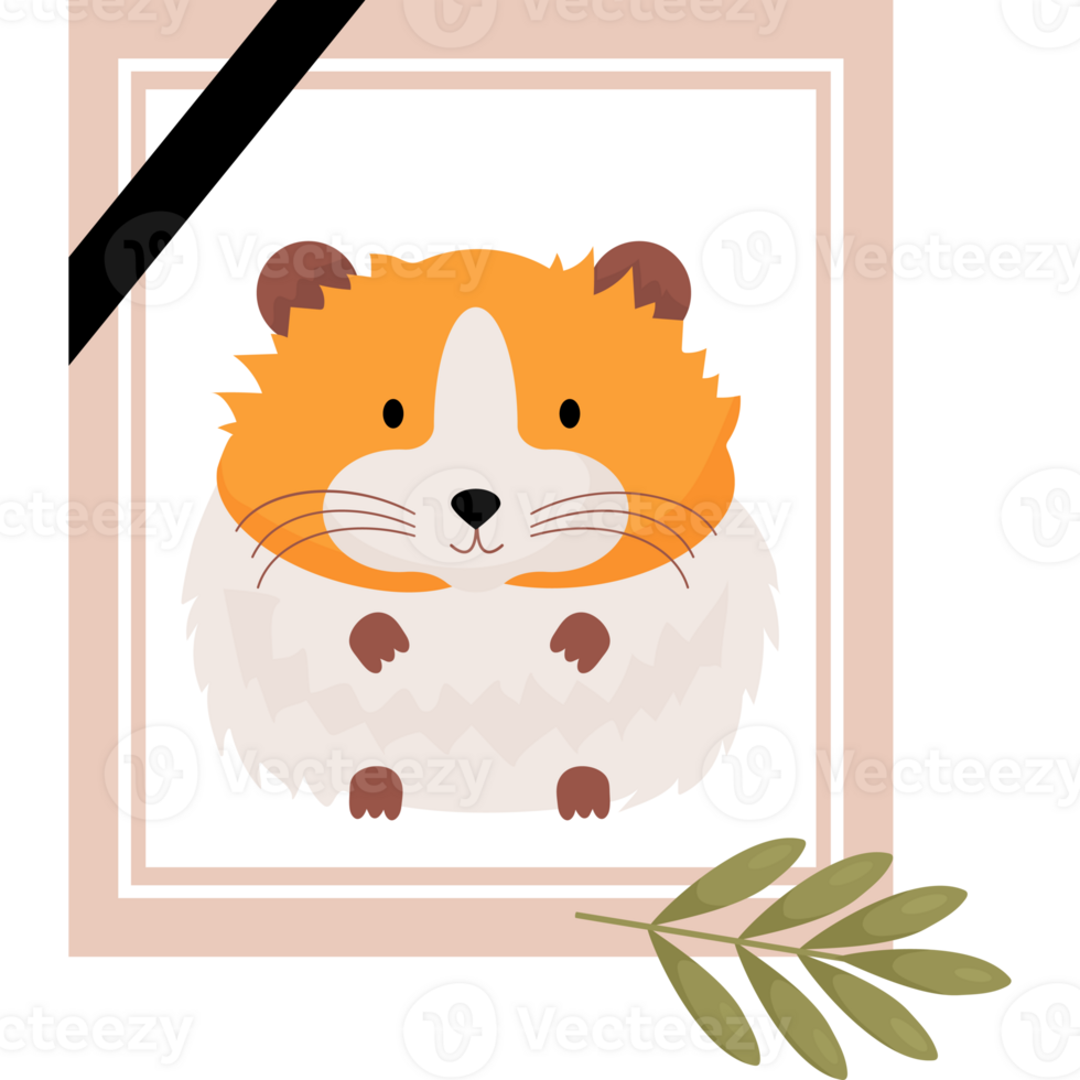 Mourning Photograph of dead hamster png