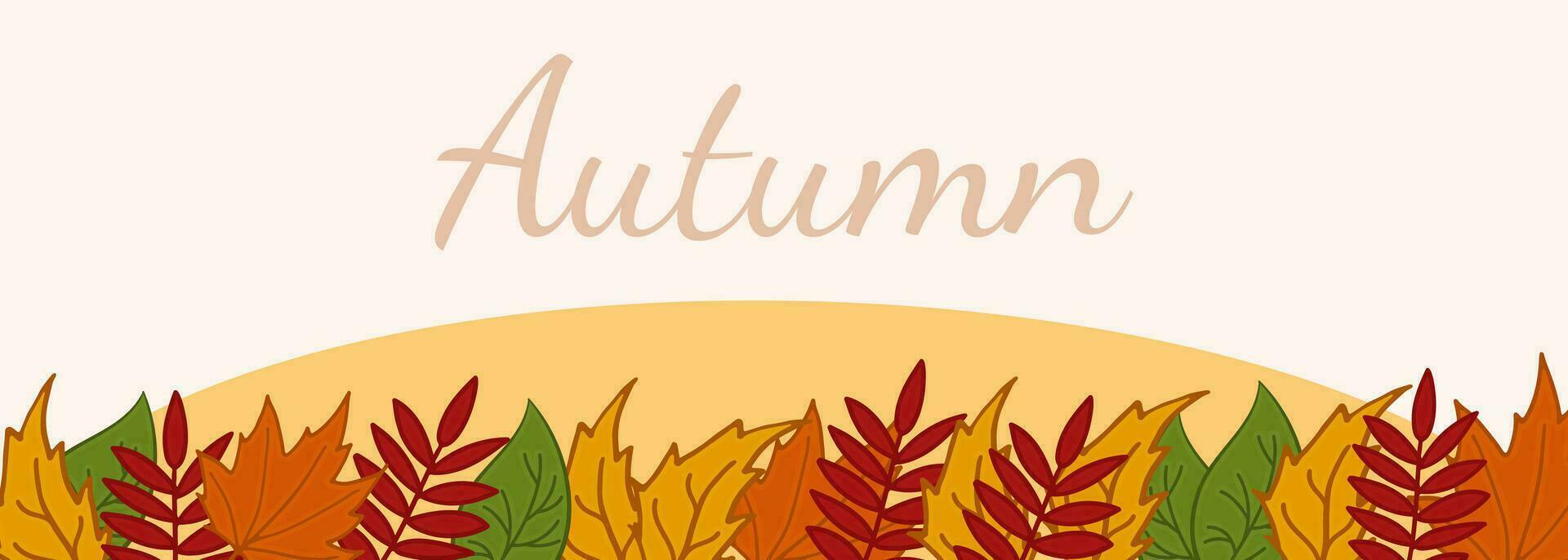 Autumn leaves horizontal banner. Vector illustration leaves of aspen, birch, maple, rowan.