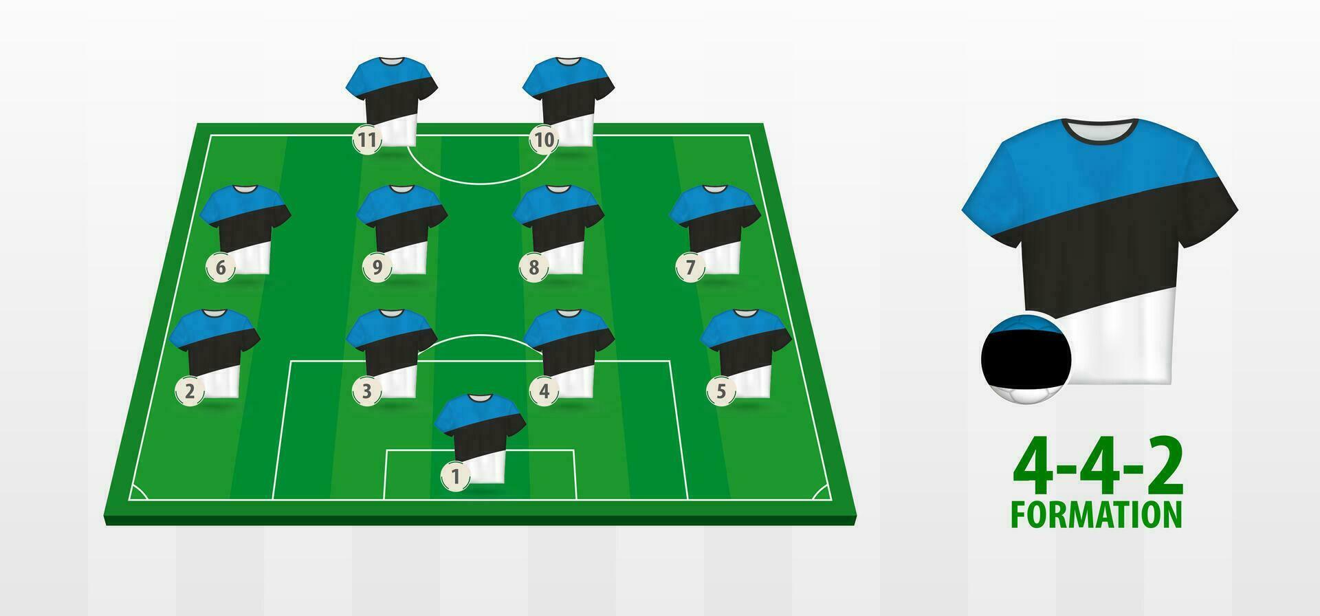 Estonia National Football Team Formation on Football Field. vector