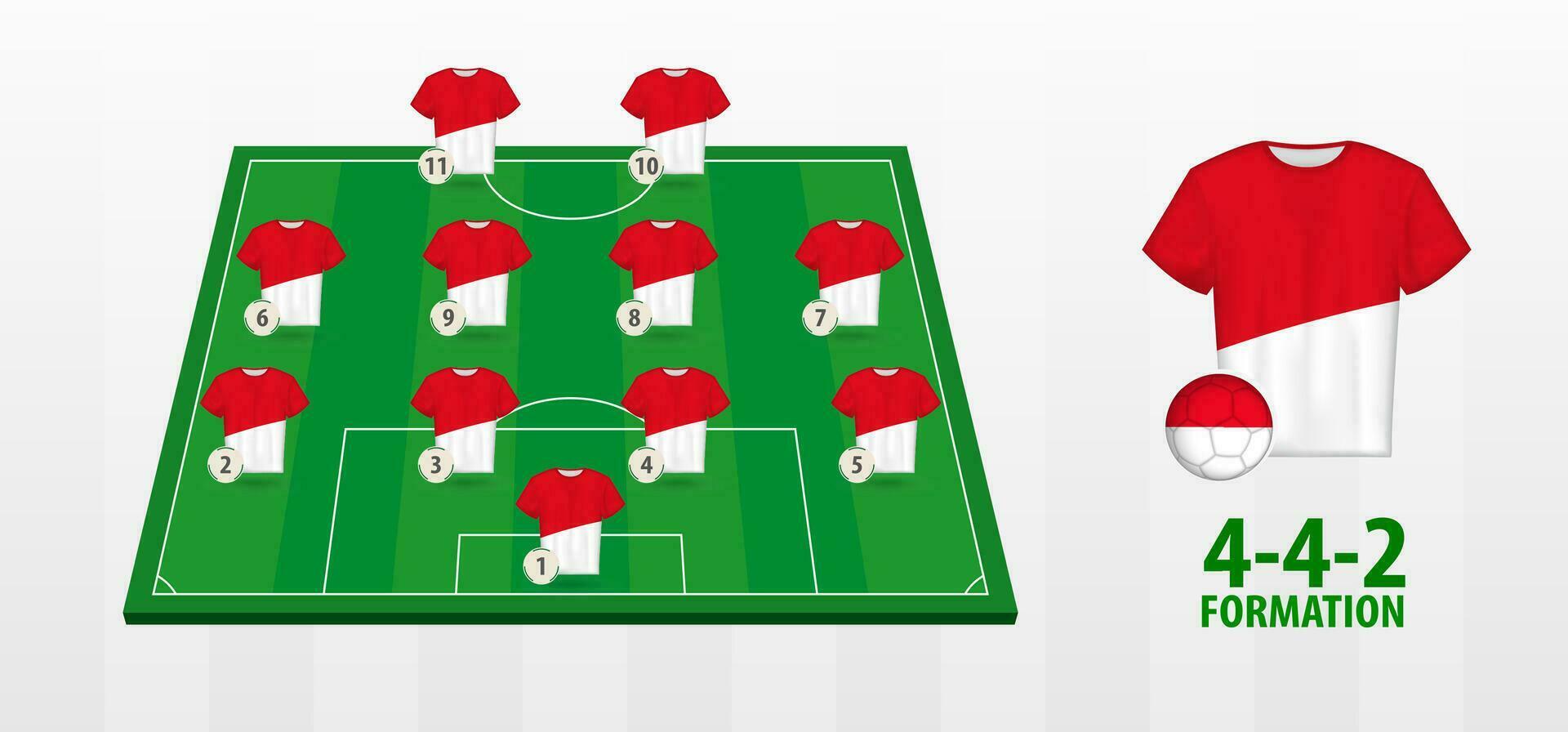Monaco National Football Team Formation on Football Field. vector