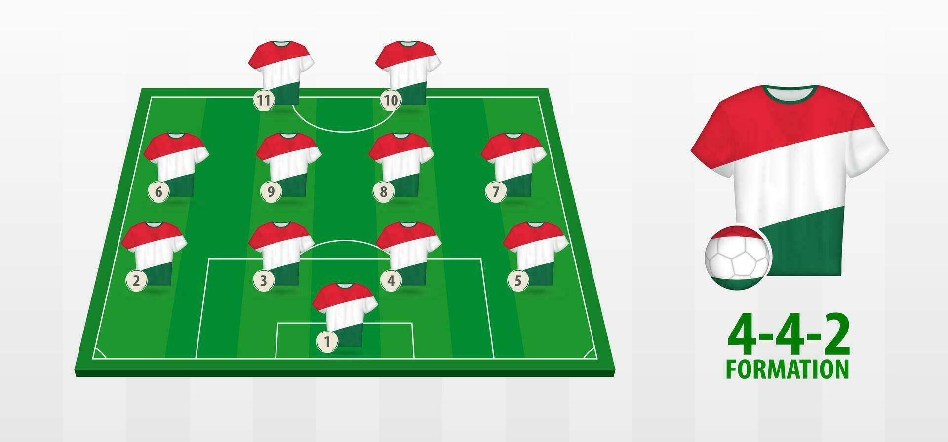 Hungary National Football Team Formation on Football Field. vector