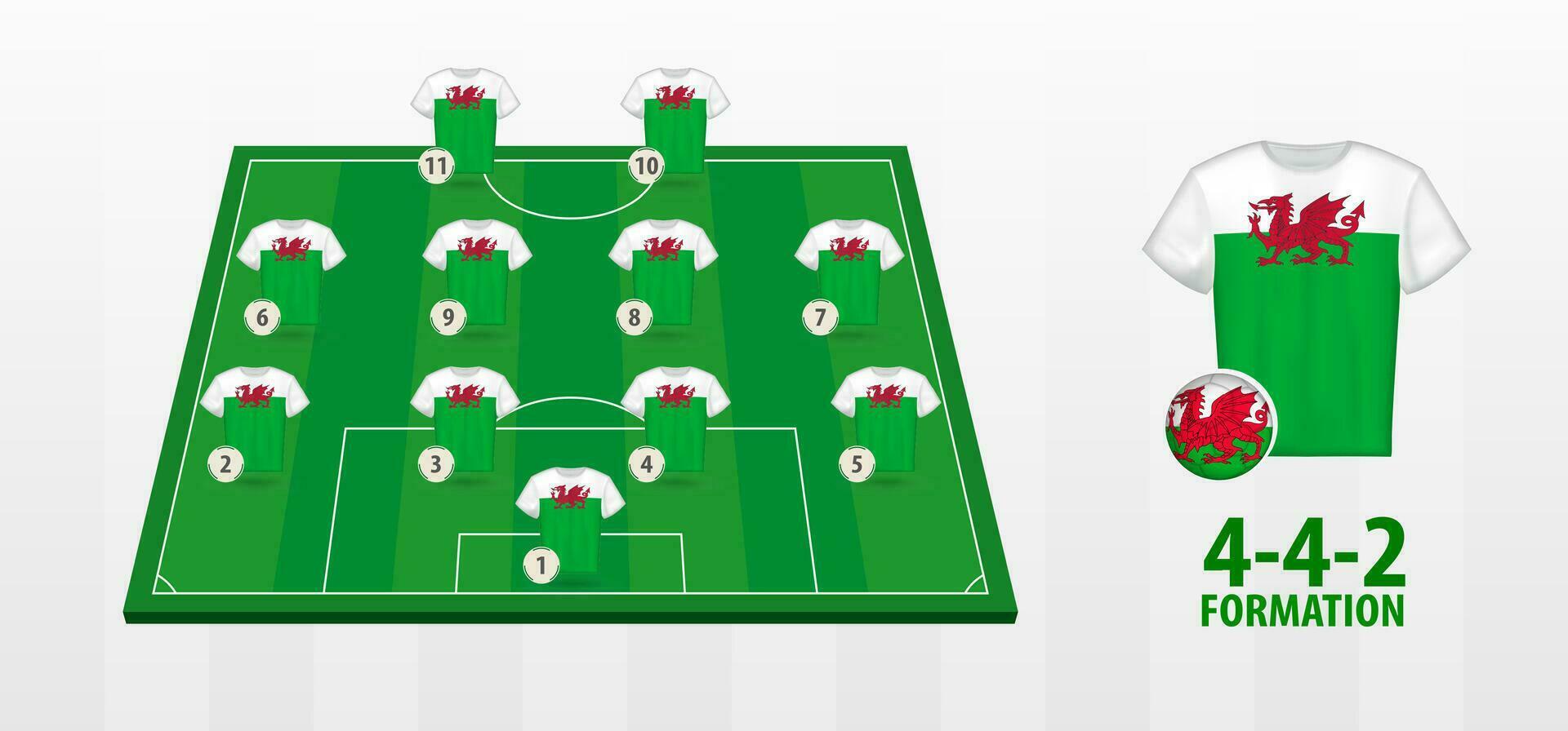 Wales National Football Team Formation on Football Field. vector