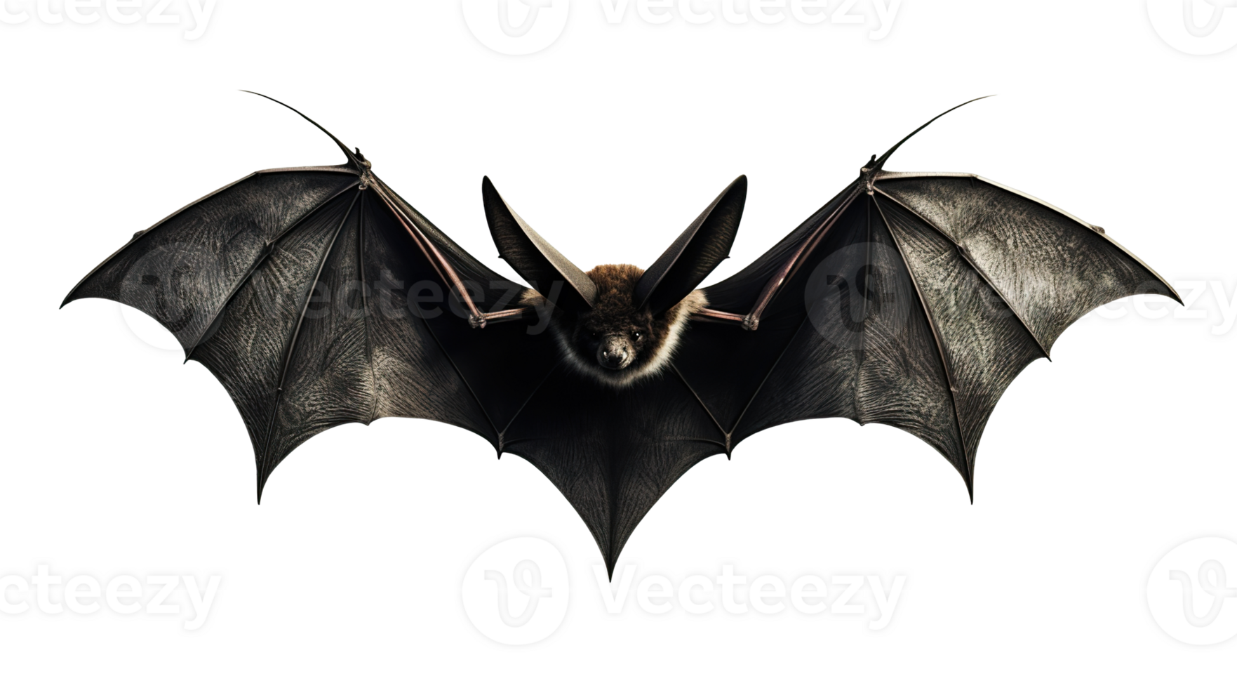 Scary Halloween bat on transparent background. Happy Halloween. Spooky flying character, cut out. Trick or treat. AI Generated png