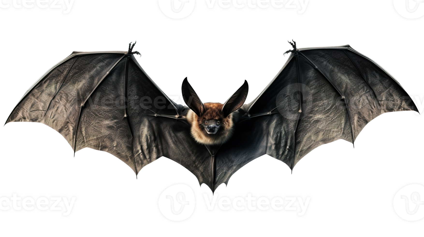 Scary Halloween bat on transparent background. Happy Halloween. Spooky flying character, cut out. Trick or treat. AI Generated png