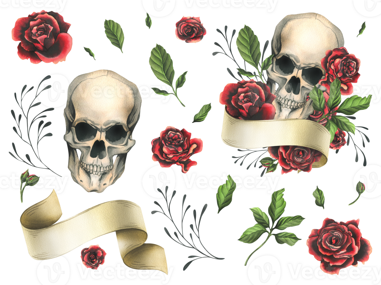 Human skull with ribbon for text, red rose flowers and leaves. Hand drawn watercolor illustration for Halloween, day of the dead, Dia de los muertos. Set of isolated elements png