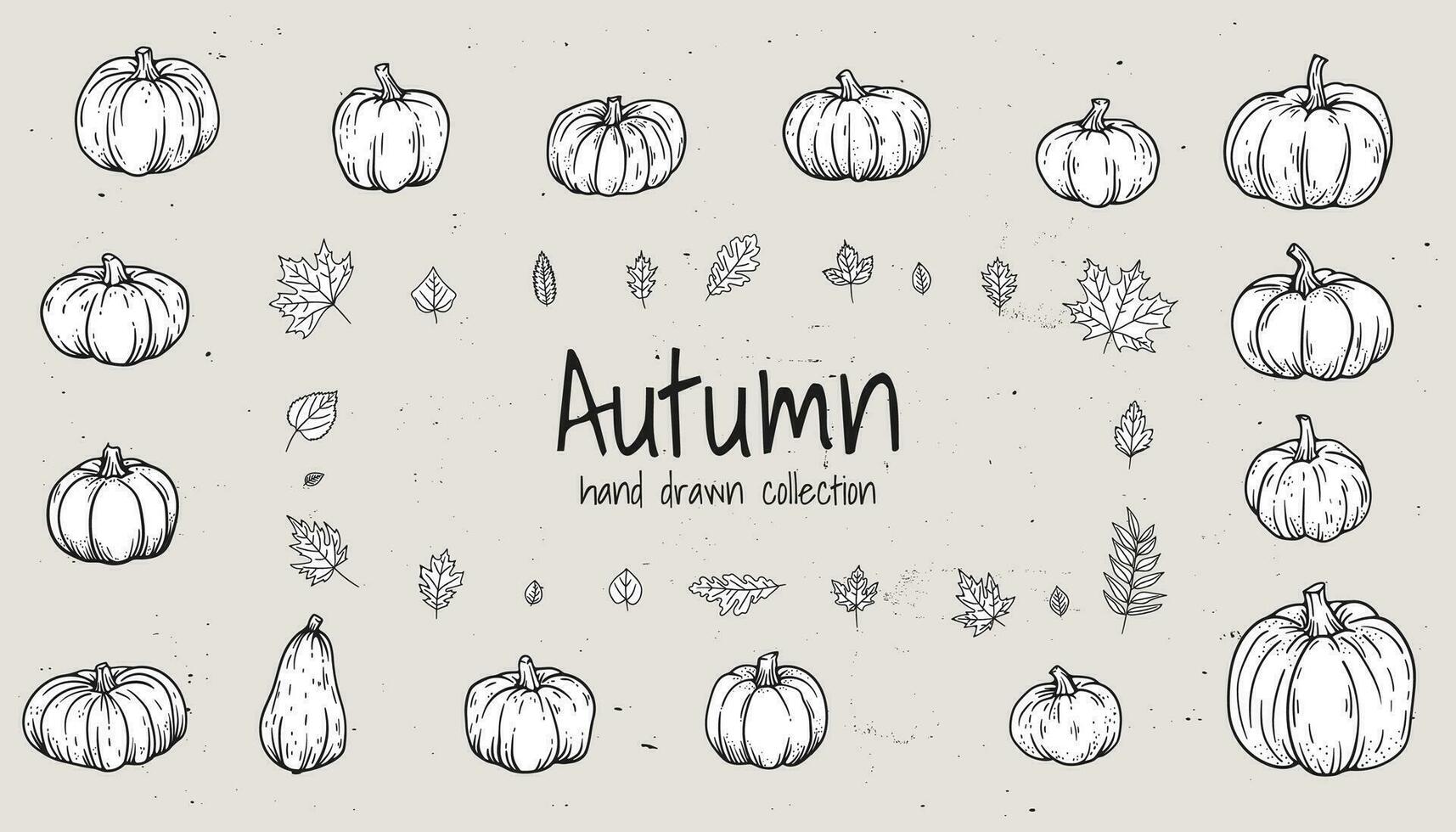 Vintage Thanksgiving collection of hand drawn line sketches, cute pumpkins, oak leaves, and gourds. Ideal for autumn decor and retro autumn design, essence of the season. Not AI vector